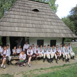moldoveni lastunasii